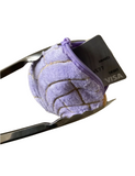 Concha Coin Purse