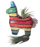 Piñata Planter Painting Workshop 2/21/26