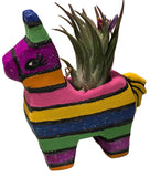 Piñata Planter Painting Workshop 2/21/26