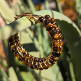 Tiger's Eye Wrapped Hoops